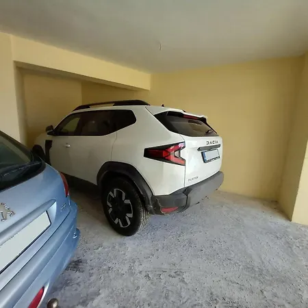 Coconut Tree House With Port View